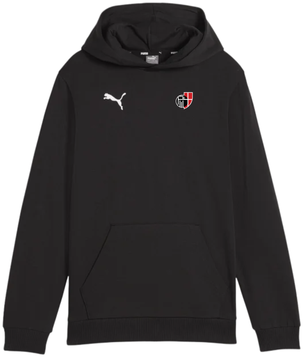 Puma teamGOAL Casuals Hoody Kids