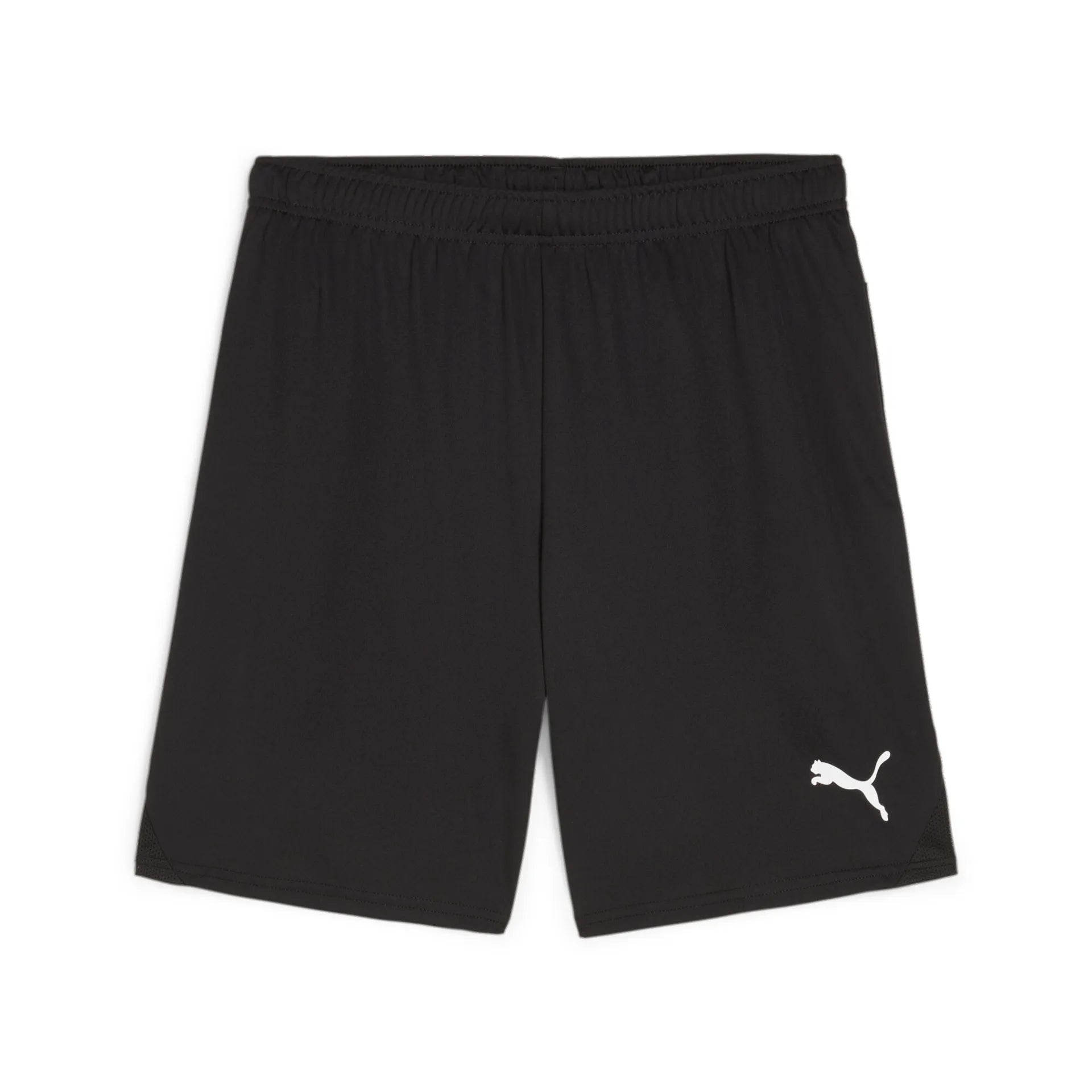Puma teamRISE Shorts
